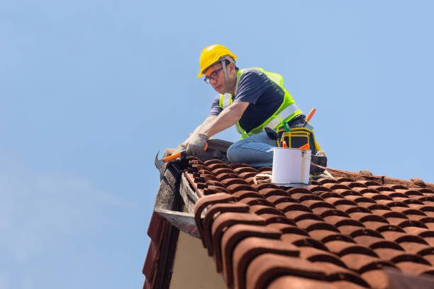 Best Skylight Installation and Repair  in Cascade Locks, OR